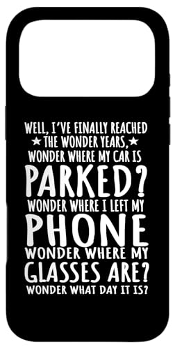 VjAV`Y ސE N󋋎  _[C[ X}zP[X iPhone 17 Pro Max p