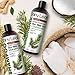 Tea Tree Oil Conditioner for Dandruff, Irritated, Itchy, And Dry Scalp, Moisturizes And Conditions Hair with Essential Tea Tree Oil Sulfate Free (16 Fl Oz)