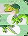 Wall Climbing Lizard,Wall Crawler Robot Gecko Remote Control,Floor Ceiling Crawling Electric Lizard Rc Car Toy,Cool Kids Toys,Christmas Birthday Gifts for 3 4 5 6 7 8 9 10+ Year Old Boys Girls Teens