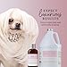 iGroom Tearless Facial Dog Shampoo, Luxury Pet Beauty Care, Ultra Mild to Eyes, Restore Skins Natural Moisture, Made in USA, Gallon