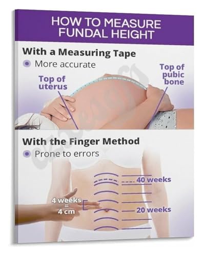 HGETJOHXEM Poster How to Measure Fundal Height Uterine Growth Reference for OB GYN Office Education Canvas Painting(Framed,16x24inch(40x60cm))