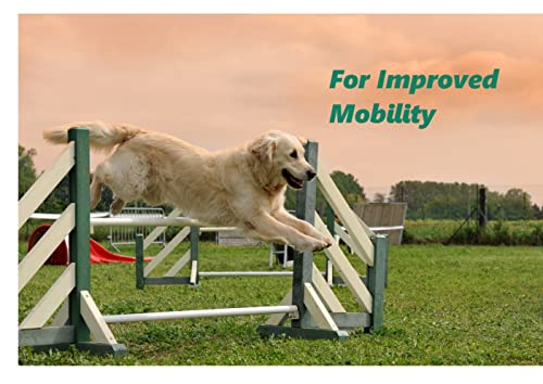 TURMERIFIC TREATS, Delicious Dog Treats with Turmeric for Hip & Joint Health - Image 4