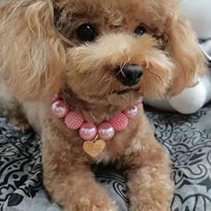 Cute Teddy Dog Pearl Necklace Pink Heart Pendant Pet Collars Dog Clothing Accessories Small and Medium-Sized Dog Collars (9.8-12.6in) Cute Teddy Dog Pearl Necklace Pink Heart Pendant Pet Collars Dog Clothing Accessories Small and Medium-Sized Dog Collars (9.8-12.6in)