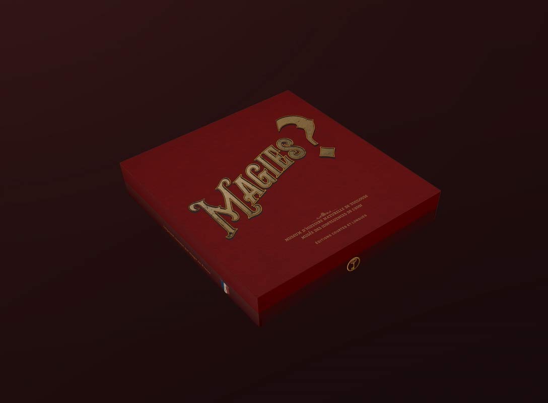Livre de Magies pour animer vos soirées en famille et entre amis