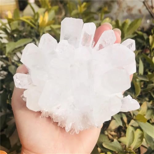 Quartz blanc cristal de roche transparent d'exception de 600g