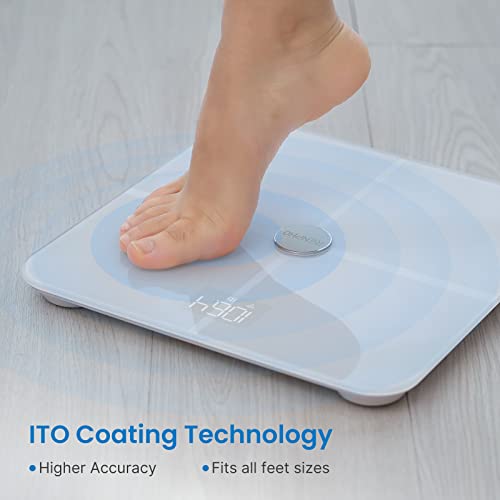 RENPHO Scale for Body Weight, Smart Wi-Fi Bluetooth Digital Bathroom Scale, Body Fat Percentage Health Monitor BMI Body Composition Analysis with Smartphone App, ITO White