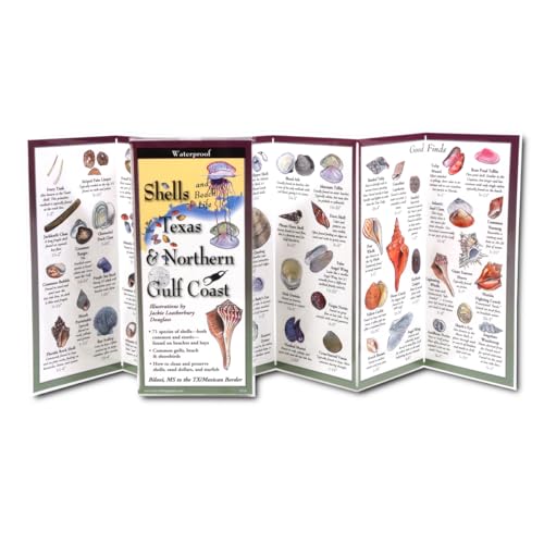 The Ultimate Guide to Shells of the Texas & Northern Gulf Coast (Foldingguides)