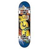  DGK Skateboards Skate Jackpot Multi 8.0
