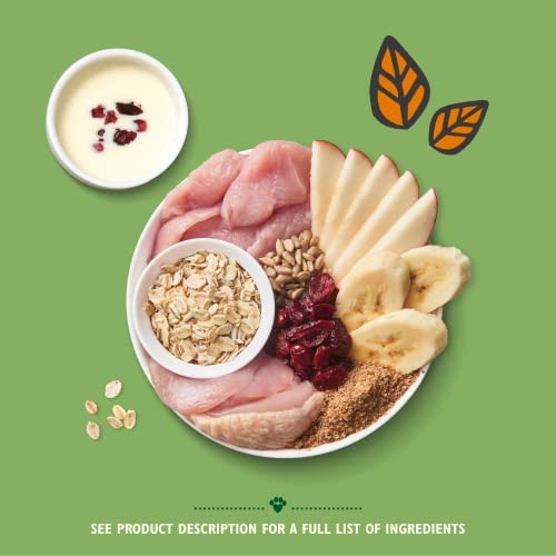 Lily's Kitchen Natural Adult Dry Dog Food - Breakfast Crunch Chicken, Turkey & Yoghurt - Complete Meal Recipes (6 Boxes x 800g) - Image 5