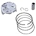 Cylinder Works 30012-K02HC Standard Bore High Compression Cylinder Kit Compatible with/Replacement For Kawasaki KX 250 F 2017-2019 77 mm Cylinder Diameter, 250 cc Displacement, 4-Cycle Engine Type