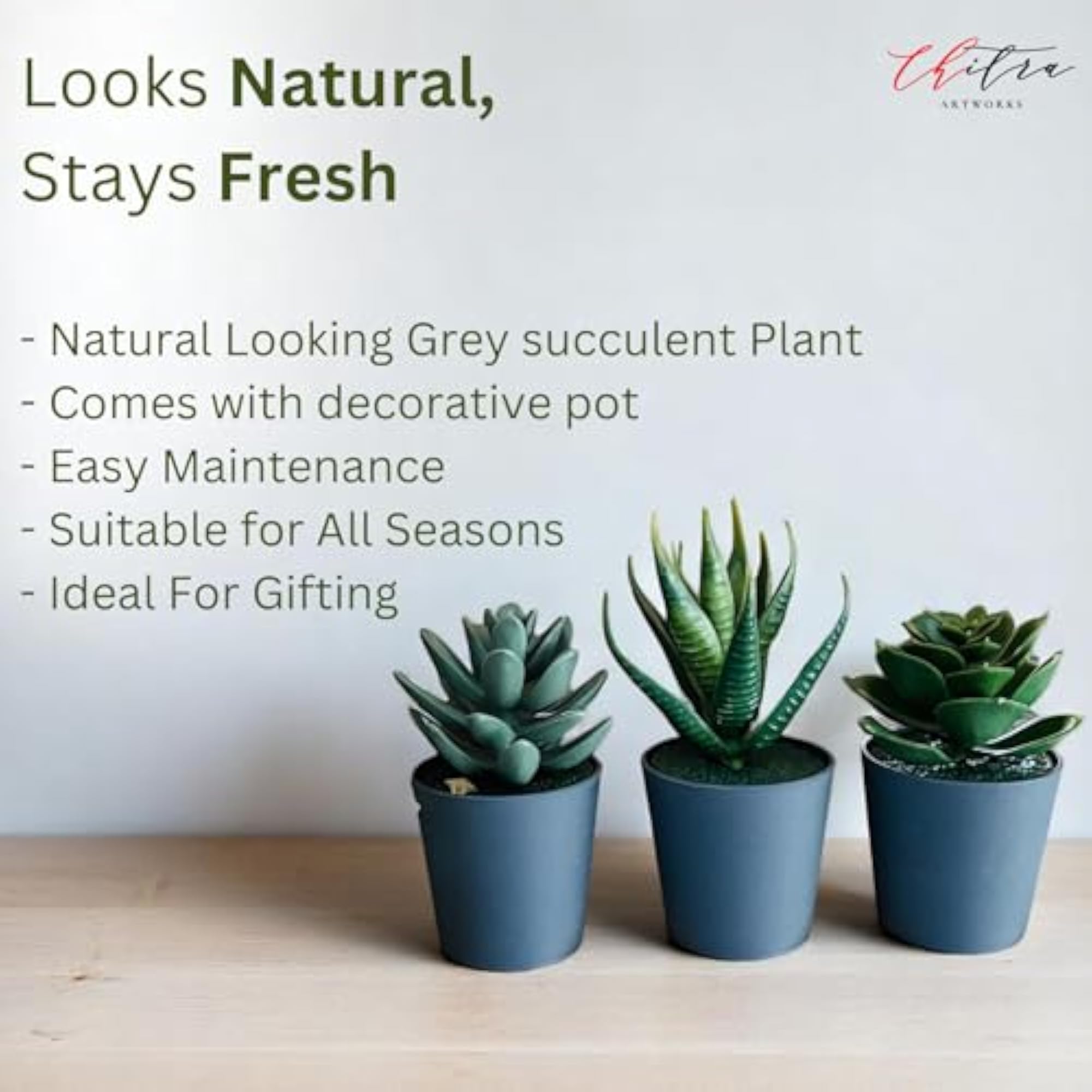 Artificial Succulent Plants with Plastic Black Pot