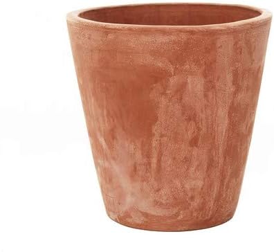 Round Wood Trading Terracini Long Tom Plant Pot, Terracotta, 28 cm