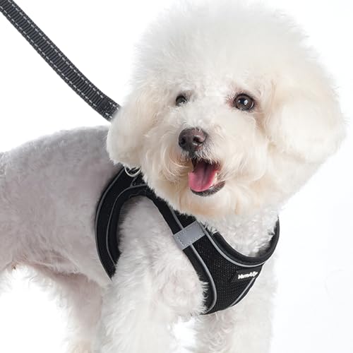 VernAlly Sparkly Dog Harness Small Sized and Leash Set for