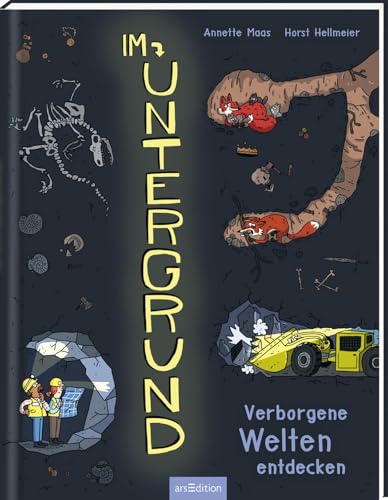 Im Untergrund: Verborgene Welten entdecken | Entdeckungsreise unter die Erde, stimmungsvolle Illustrationen, ab 8 Jahren