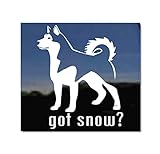 Got Snow? Alaskan Malamute Vinyl Window Decal Sticker