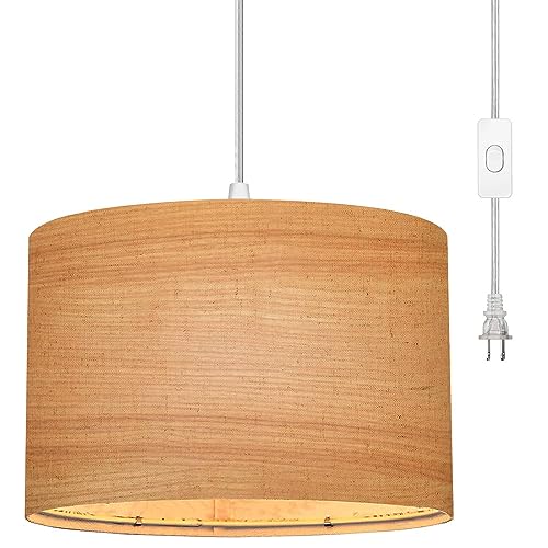 Plug in Pendant Light