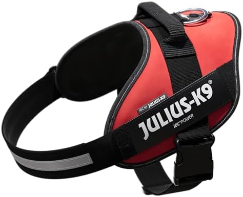 Arnés IDC Power, Tamaño: XL/2, Rojo