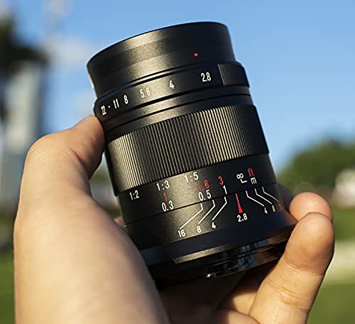 7artisans 60mm F2.8 カメラ交換レンズ 1：1超マイクロ距離 手動式 APS-Cプライムマクロアルミレンズ 固定式 花、昆虫など撮影が最適 ソニー A65 Amazon.co.jp: 7artisans 60mm F2.8 II カメラ交換レンズ 1：1超