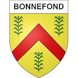 ✅ LIVRAISON GRATUITE, expédiée sous 2 jours par Laposte depuis nos bureaux en France..