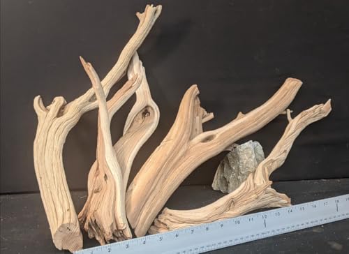 Natural Ghostwood Driftwood | 4 Pieces 18” Long | Bulk