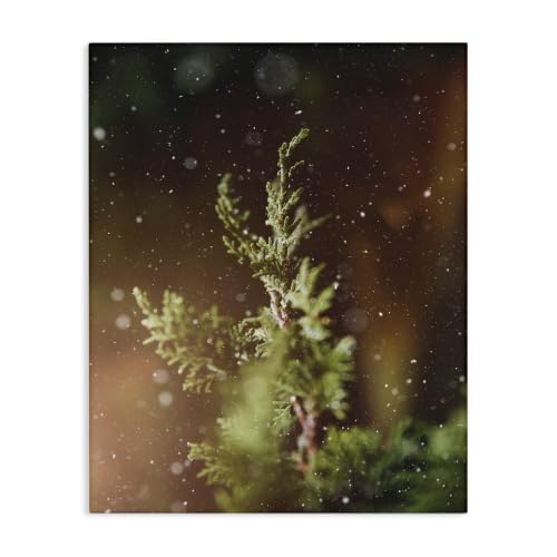 Stupell Industries 'Winter Snowfall Night Pine Tree'| Canvas Art