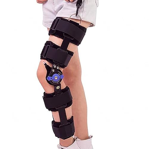 \ȃqWtkGpbhAGGWT|[gAՑёAGu[X̃TCYpx