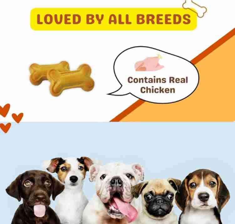 Image of Dog Puppy Biscuit 4 kg Chicken Flavour Soft Oven Baked Biscuit Chicken 4 kg Dry New Born, Young, Adult Dog Food