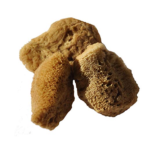 Preisvergleich Produktbild Meerschwamm, natürlich,"Silk", 5 cm, 3 Stück