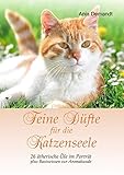 Cover zum Buch Feine Düfte für die Katzenseele