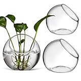 Terrarium Air Plant Planters Glaschalen Vasen 3Er Set Runde Klare Terrariumvasen FüR Sukkulenten Und Luftpflanzen Dekoration Zuhause BüRo