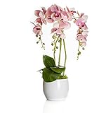 künstliche orchideen weiß Größe: Gesamthöhe: ca. 50cm / Gesamtbreite: ca. 30cm