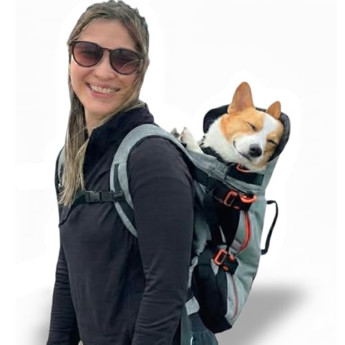 Maxine One Dog Backpack Carrier for Medium Dogs by Little Chonk | Adjustable & Ergonomic Front Facing Dog Carrier Backpack | Built to be Safer | Pet Backpack Carrier Featured in Wired Magazine - Gray