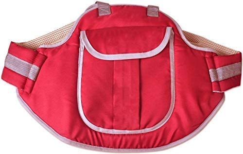 Image of ANTIL'S Adjustable Two Wheeler /Motorcycle Safety Harness Strap Belt for Children for 2 to 6 Year (Red)