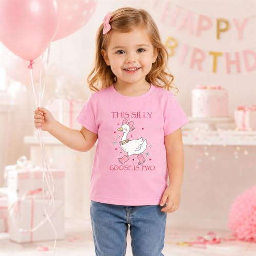 Image of Toddler Girls 2nd Birthday Shirt Outfit for Girls Cute Two Years Old Birthday Gift