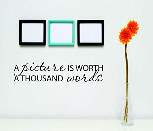Vinyl Wall Quote Decals for Home - A Picture is