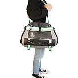 TRAVEL CAT