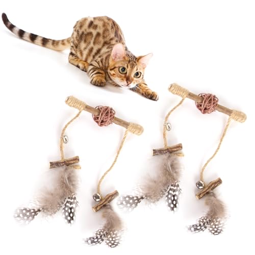 L  t ܂т̖ L ߋ Ĥ   Rȍޗ ݒ̌N H~i 얞 VRS L LVїp ނ VR  ybĝ ϋv ރXeBbN ܂уg L_ 2