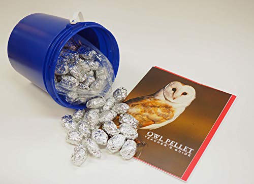 Bargain Bucket, 100 Small Owl Pellets with Teachers Guide and Bone Sorting Sheets