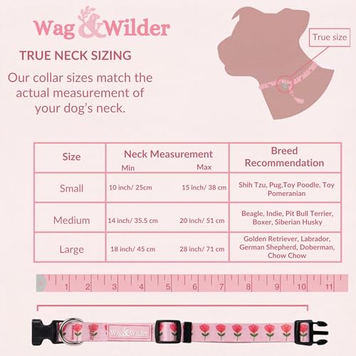 Image of Wag and Wilder Dog Collar and Leash Set Medium for Beagle, Pit Bull Terrier & Boxer - Heavy Duty Adjustable Collar & 5 FT Leash Combo, Jaipur Bloom Pink