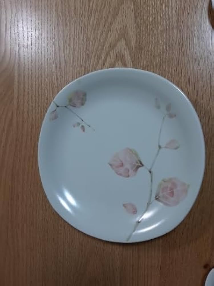 Amazon | たち吉 万葉 取り分け皿 （大皿1枚小皿5枚） | ノー