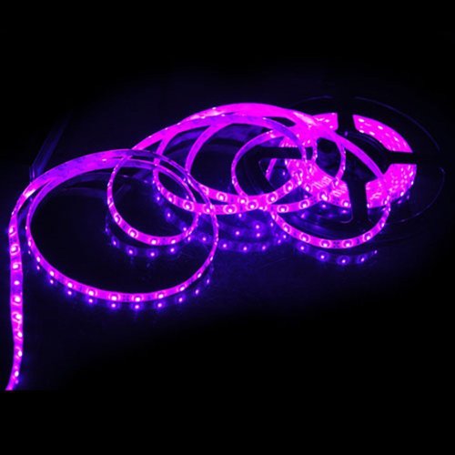 5M Waterproof Ip65 300 Led 3528 Smd Flexible Led Light Lamp Strip Purple Dc 12V #TOP3