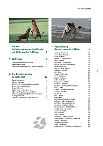 Bach-Blüten für meinen Hund: Wertvolle Helfer bei der Verhaltenstherapie