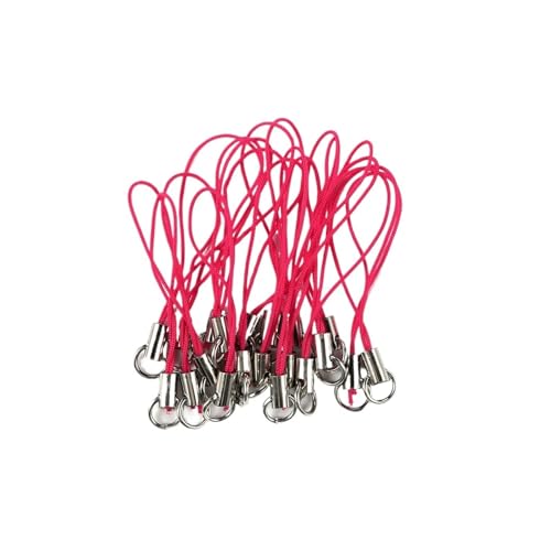 CSFH(ȓX) 20/50/100 Xgbv Abg XgbvR[h uX^[NXv [v L[`F[ tbN oCZbg `[ L[O y_g L[OANZT[(MULTI_20Pcs)