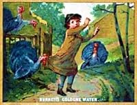 Victoriana Scraps: A Victorian Photograph Album B000ZCSB90 Book Cover