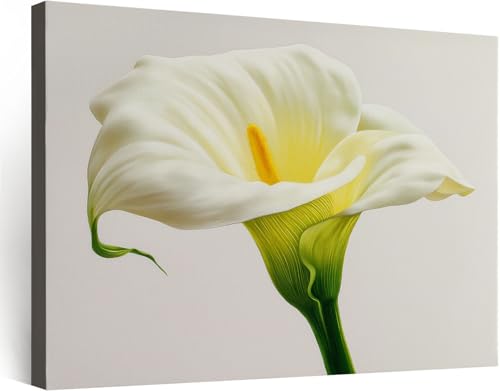 Générique Impression sur Toile Imprimée Hyperréaliste Fleurs Minimaliste Arums, Image sur toile Cadre Tableau Blanc Decoration Murale 120 x 80 cm -...