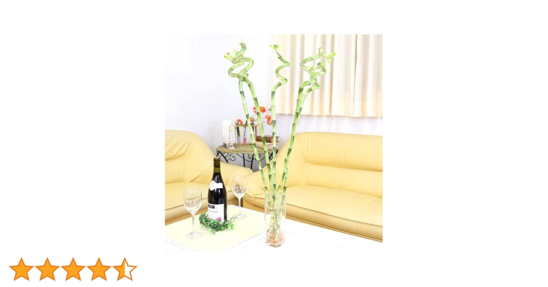 ミリオンバンブー☆開運竹スパイラル２０本セット☆ラッキーバンブー☆４０〜５０cm ミリオンバンブー☆開運竹☆スパイラル3本セット☆ラッキー