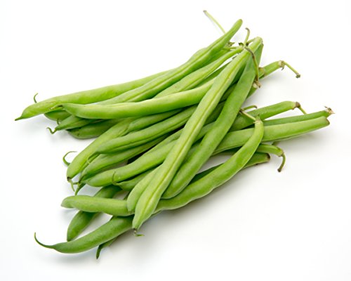 Green Bean Seeds-Heirloom Variety-Bush Bean Planting Seeds-50+ Seeds-Usa Grown And Shipped From Usa #TOP3