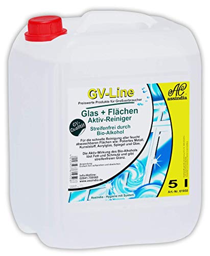 Preisvergleich Produktbild Glas und Flächen Aktiv-Reiniger GV-Line 5l