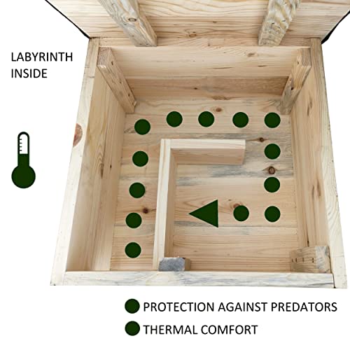 LEVIATAN - egelhuis | met houten bodem I het hele jaar door huis | weerbestendig | perfect voor de tuin | winterkwartier - Image 6