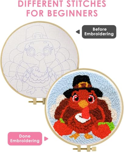 Image of TCDZMYGS Punch Needle Kit for Beginners Adults-Turkey,with Video Tutorial